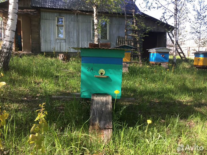 Улья домики для пчёл