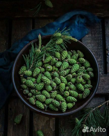 Шишки сосновые