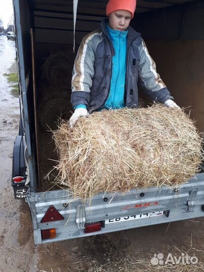 Сено мини рулоны