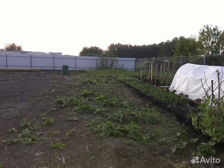 Забор из сетки рабицы