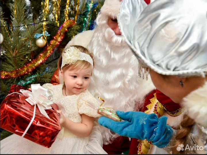 Поздравление от деда мороза и снегурочки на дом