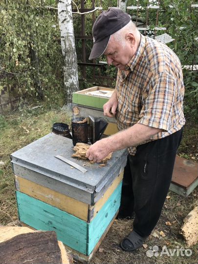 Мёд «Донское разнотравье», крем мёд, орехи в меду