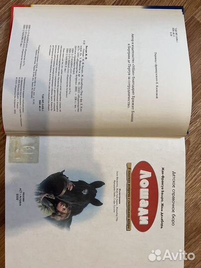 Сама интересная книга о лошадях