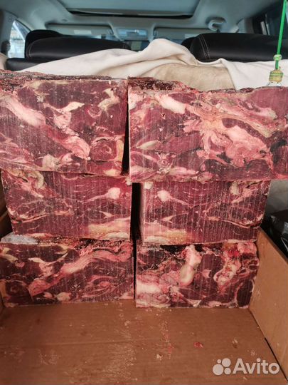 Мясо для собак говяжья обрезь