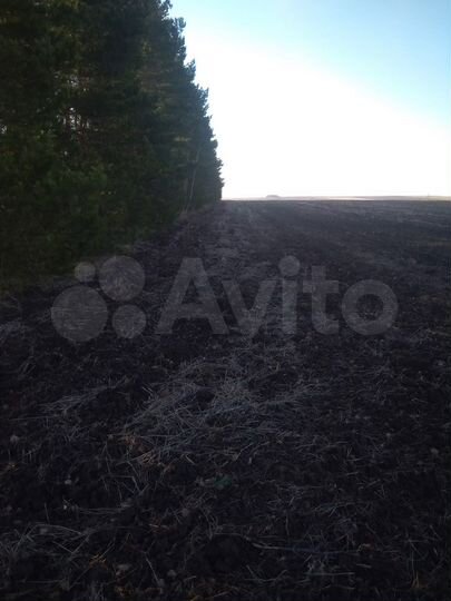 Участок 16,06 га (СНТ, ДНП)