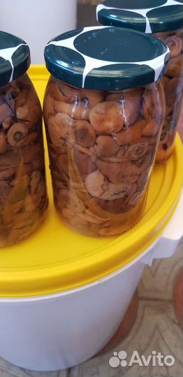 Грибы рыжики соленые