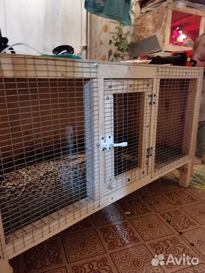 Брудер для цыплят (клетка)