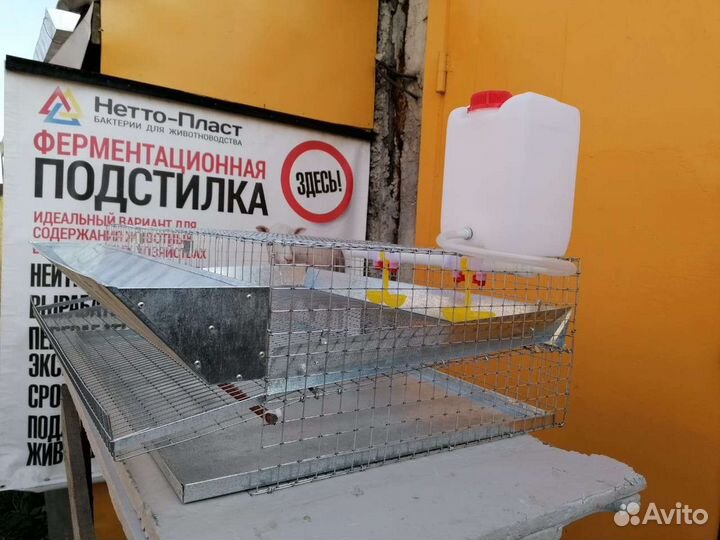 Продаем клетки для содержания кур несушек, бройлер