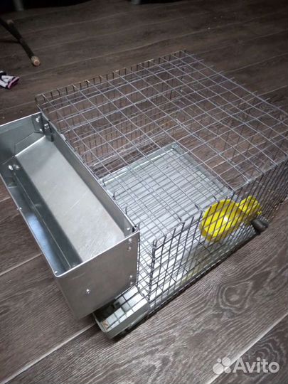 Клетки для перепелов