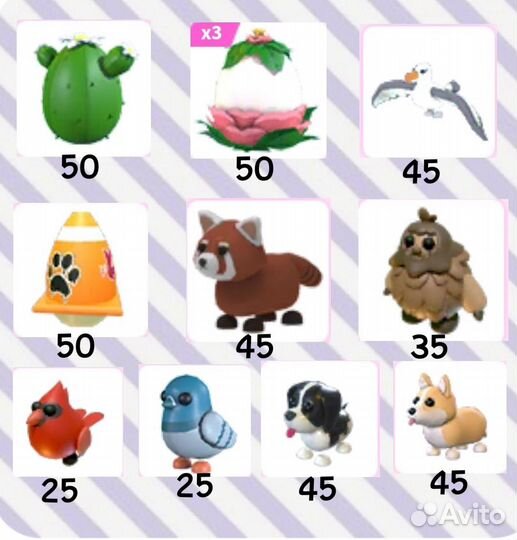 Петы адопт ми