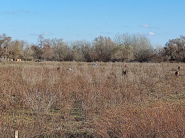 Участок 2,8 га (СНТ, ДНП)