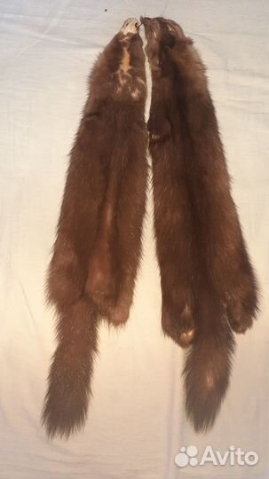 Продам шкуры соболь и песца