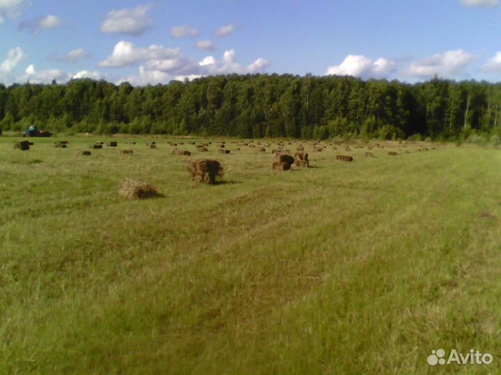 Сено в кипах