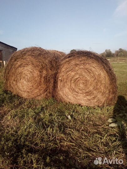 Сено с доставкой, обмен