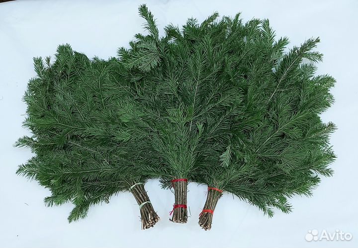 Веники хвойные