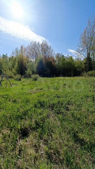 Участок 12,7 сот. (СНТ, ДНП)