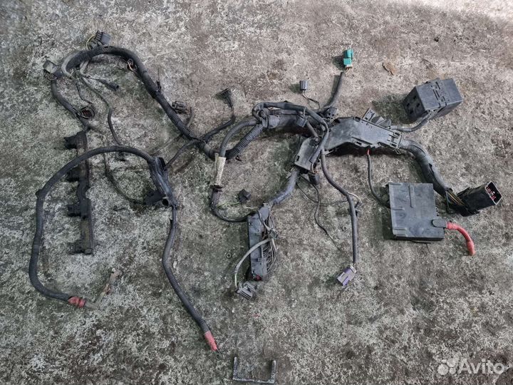 Проводка двигателя Фьюжн