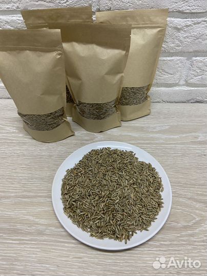 Сидераты рожь горчица