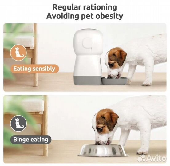 Автокормушка для животных FBN