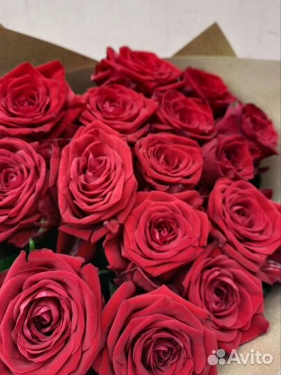 Роза 11 15 19 21 25 29 35 39 41 45 51