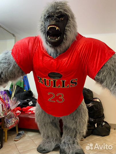 Футболка на гориллу