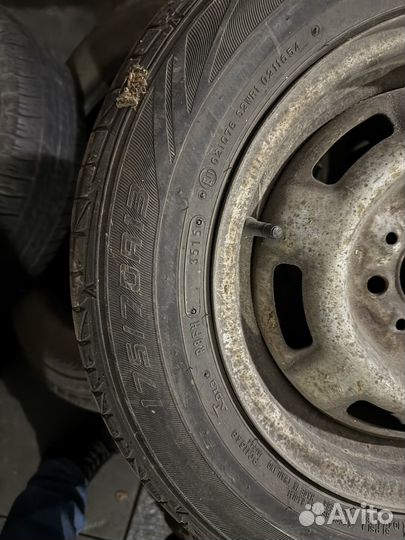 Dunlop SP Sport LM704 175/70 R13