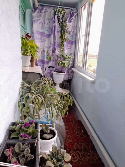 2-к. квартира, 50 м², 2/2 эт.