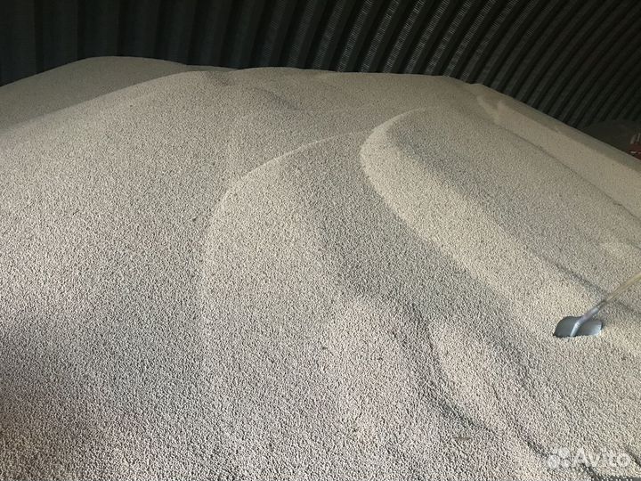 Семена Гороха