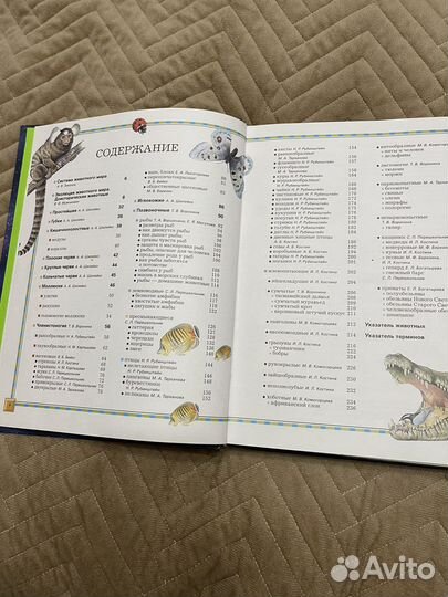 Большая энциклопедия