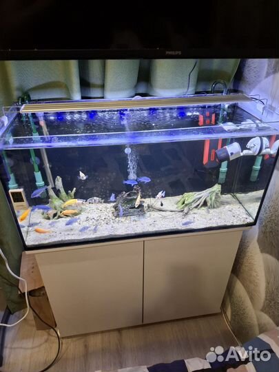 Аквариум