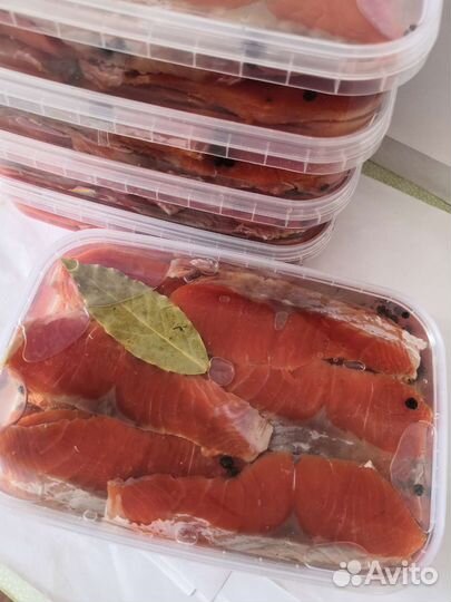 Рыба Нерка Кета