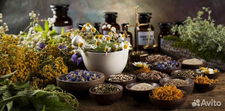 Очищение от гельминтов с травами