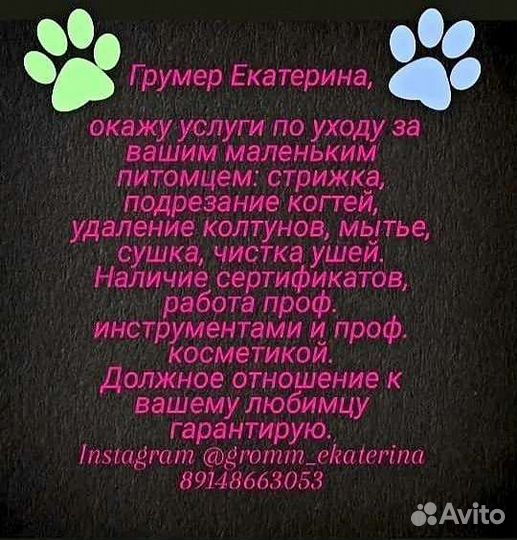 Услуги грумера