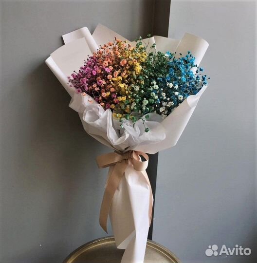 Гипсофила 9 штук №433