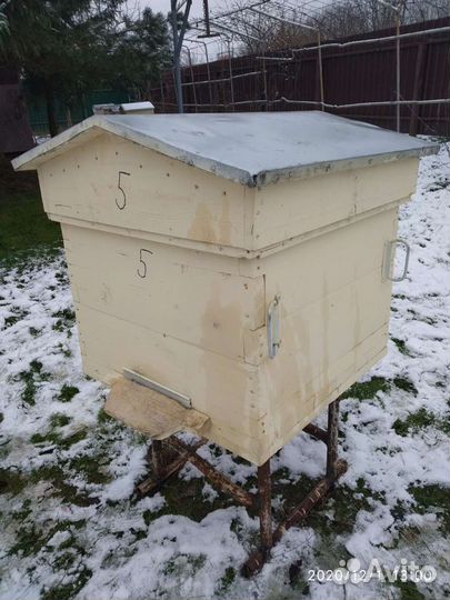 Пчелиный улей