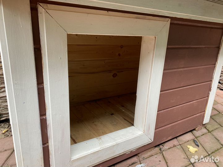 Собачья конура