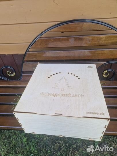 Саженцы сосны обыкновенной зкс