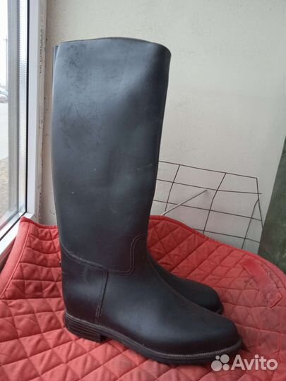 Экипажи, амуниция