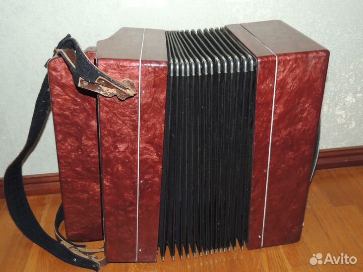 Гармонь Нотка и Аккордеон детские
