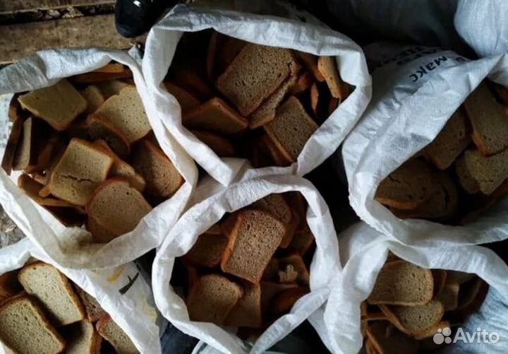 Пищевые отходы и хлеб на корм животным