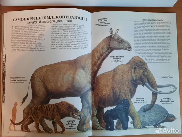 Книга для детей «Золотая книга знаний»