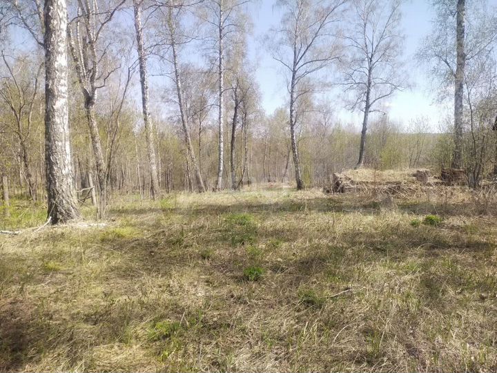 Участок 13 сот. (СНТ, ДНП)