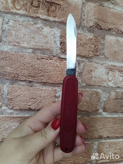 Victorinox solo