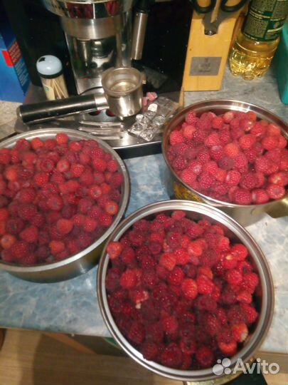 Саженцы малины и виктории