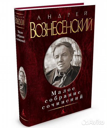 Андрей Вознесенский (Избранное)