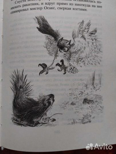 Опасный путь