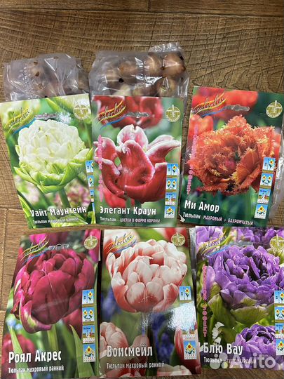 Тюльпаны,нарциссы и др луковичные