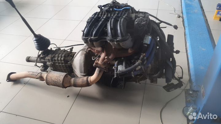 Матор эвотек