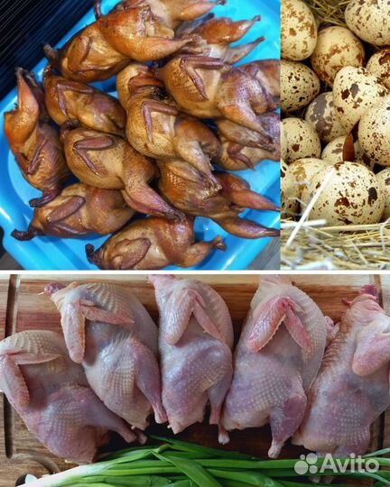 Мясо перепелов