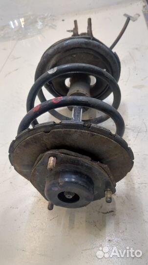 Амортизатор подвески Nissan Murano, 2005